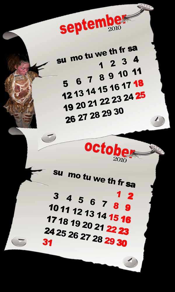 dsacalendar2010
